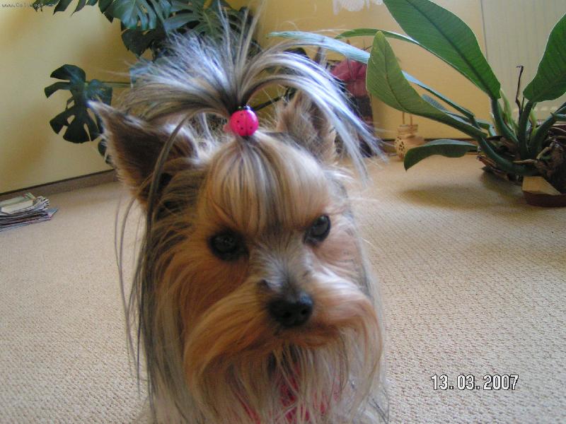 Foto: Lilli